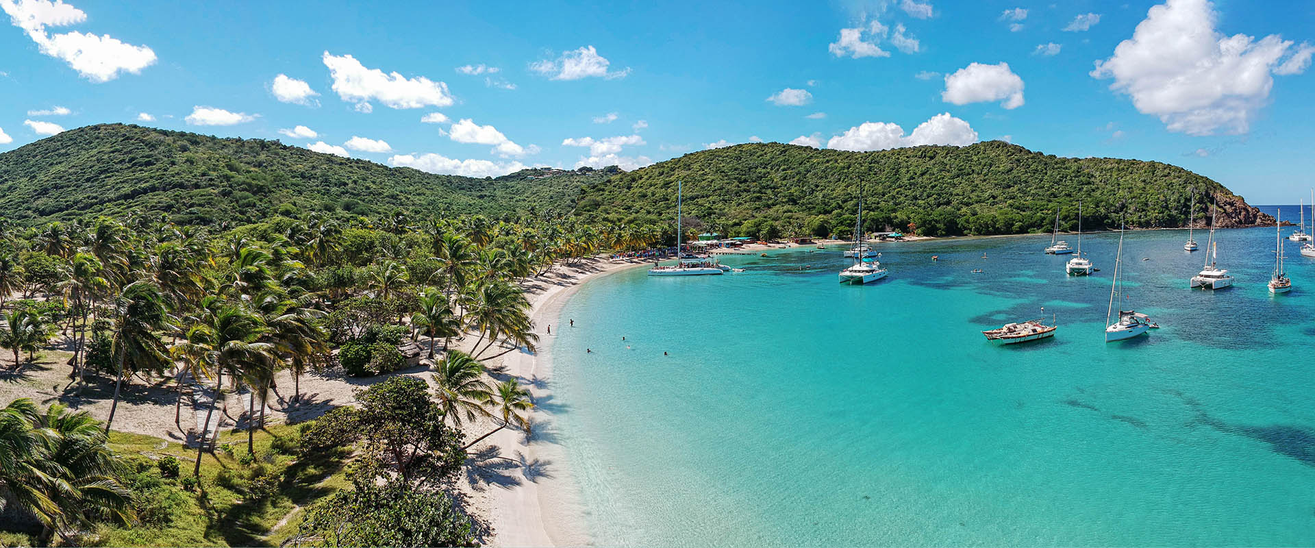 Discover the Best of the Caribbean