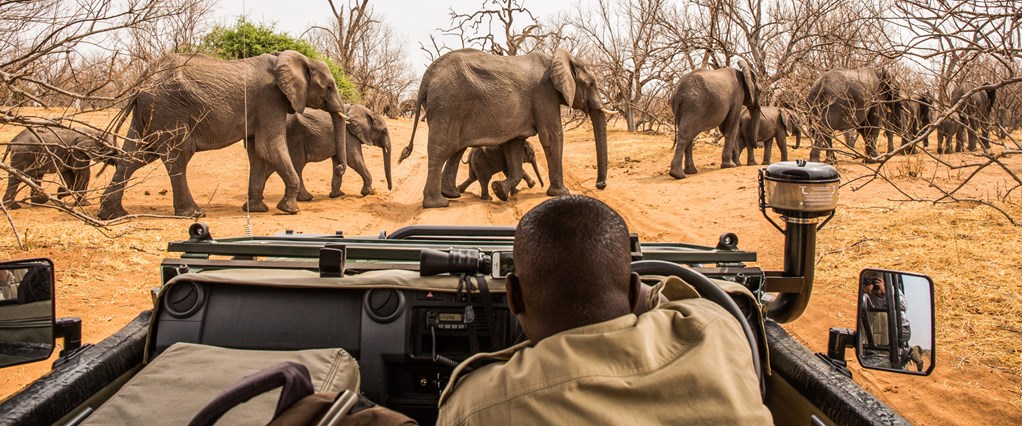 Ultimate Africa - 