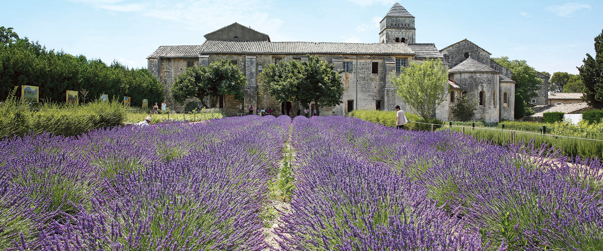 france river cruise scenic