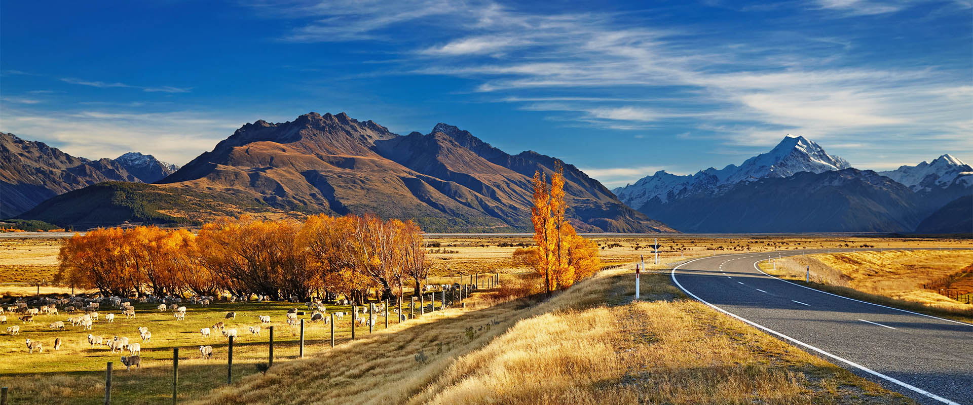 land tour new zealand